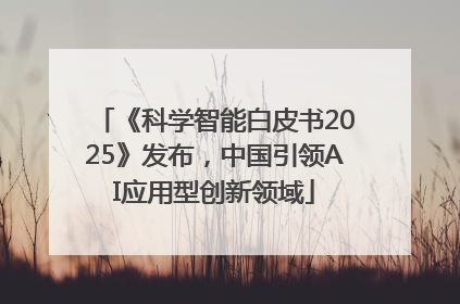 《科学智能白皮书2025》发布，中国引领AI应用型创新领域
