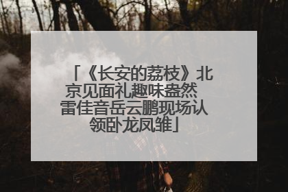 《长安的荔枝》北京见面礼趣味盎然 雷佳音岳云鹏现场认领卧龙凤雏