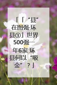 「“县”在图强·环县③」世界500强一年6家 环县何以“吸金”？