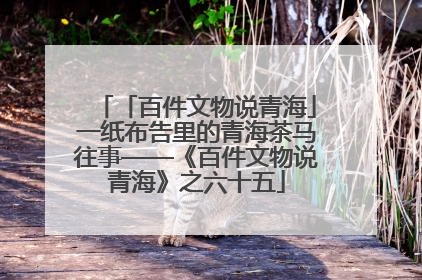 「百件文物说青海」一纸布告里的青海茶马往事——《百件文物说青海》之六十五