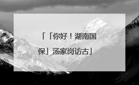 「你好！湖南国保」汤家岗访古