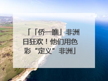 「侨一瞧」非洲日狂欢！他们用色彩“定义”非洲