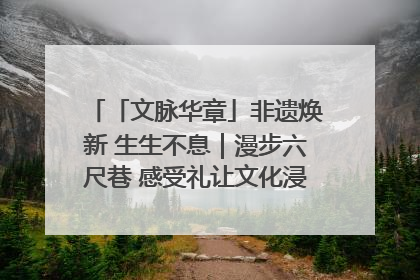「文脉华章」非遗焕新 生生不息｜漫步六尺巷 感受礼让文化浸润的“巷”往生活