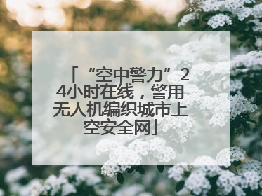 “空中警力”24小时在线，警用无人机编织城市上空安全网