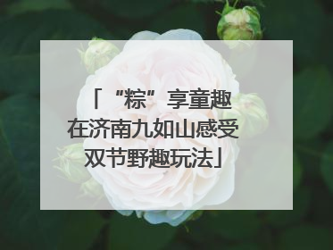 “粽”享童趣 在济南九如山感受双节野趣玩法