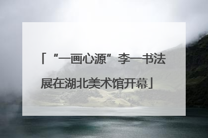 “一画心源”李一书法展在湖北美术馆开幕