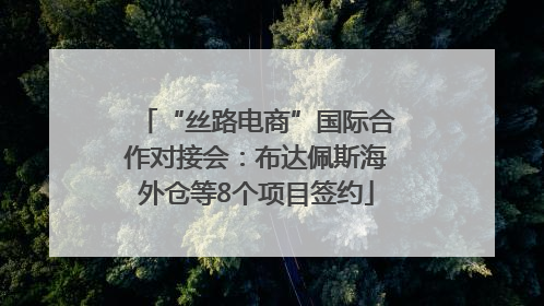 “丝路电商”国际合作对接会：布达佩斯海外仓等8个项目签约
