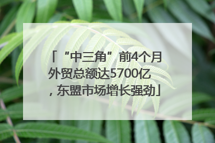 “中三角”前4个月外贸总额达5700亿，东盟市场增长强劲