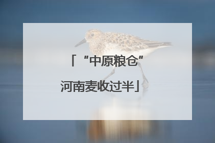 “中原粮仓”河南麦收过半