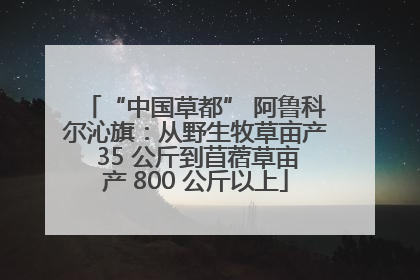 “中国草都” 阿鲁科尔沁旗：从野生牧草亩产 35 公斤到苜蓿草亩产 800 公斤以上