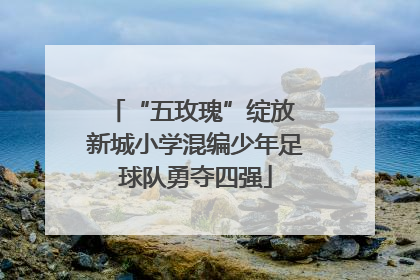 “五玫瑰”绽放 新城小学混编少年足球队勇夺四强