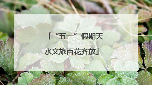 “五一”假期天水文旅百花齐放