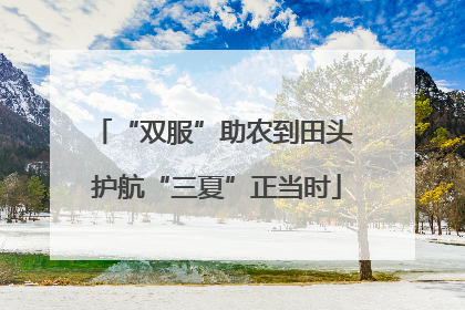 “双服”助农到田头 护航“三夏”正当时