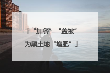“加餐”“盖被” 为黑土地“增肥”