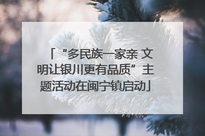“多民族一家亲 文明让银川更有品质”主题活动在闽宁镇启动