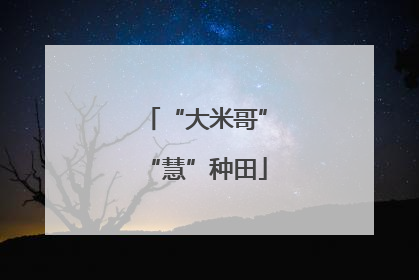 “大米哥”“慧”种田