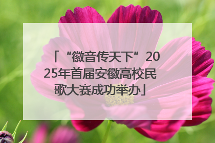 “徽音传天下”2025年首届安徽高校民歌大赛成功举办