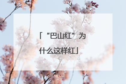 “巴山红”为什么这样红