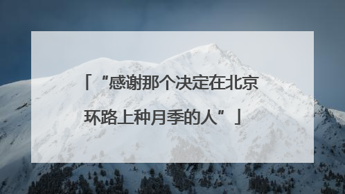 “感谢那个决定在北京环路上种月季的人”