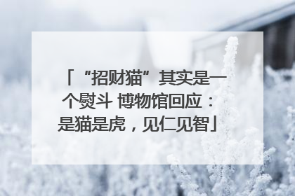 “招财猫”其实是一个熨斗 博物馆回应：是猫是虎，见仁见智