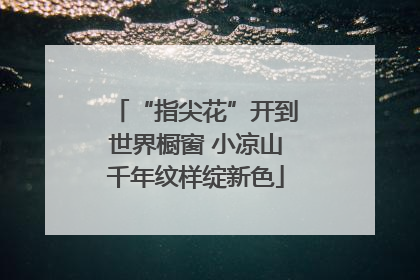 “指尖花”开到世界橱窗 小凉山千年纹样绽新色