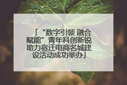 “数字引领 融合赋能”青年科创新锐助力宿迁电商名城建设活动成功举办