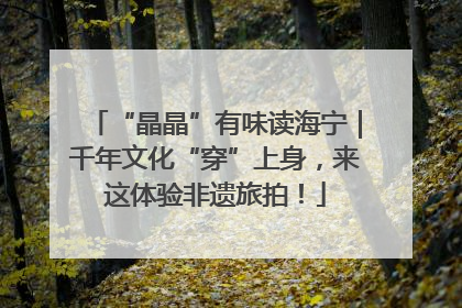 “晶晶”有味读海宁｜千年文化“穿”上身，来这体验非遗旅拍！