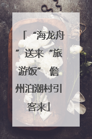 “海龙舟”送来“旅游饭” 儋州泊潮村引客来