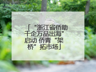 “浙江省侨助千企万品出海”启动 侨青“架桥”拓市场