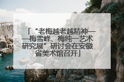 “老梅越老越精神——梅雪峰、梅纯一艺术研究展”研讨会在安徽省美术馆召开