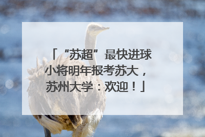 “苏超”最快进球小将明年报考苏大，苏州大学：欢迎！