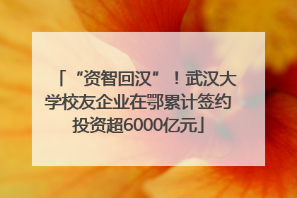 “资智回汉”！武汉大学校友企业在鄂累计签约投资超6000亿元