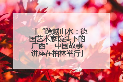 “跨越山水：德国艺术家镜头下的广西” 中国故事讲座在柏林举行