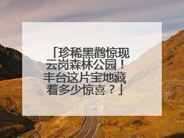 珍稀黑鹳惊现云岗森林公园！丰台这片宝地藏着多少惊喜？