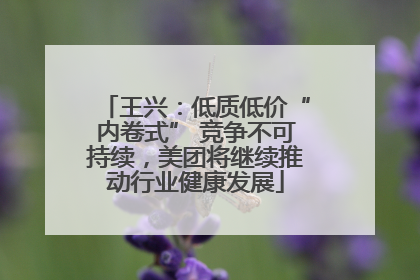 王兴：低质低价“内卷式” 竞争不可持续，美团将继续推动行业健康发展