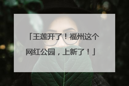 王莲开了！福州这个网红公园，上新了！