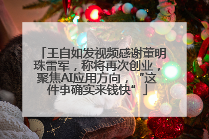 王自如发视频感谢董明珠雷军，称将再次创业，聚焦AI应用方向，“这件事确实来钱快”