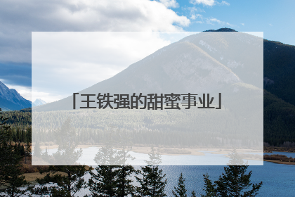 王铁强的甜蜜事业