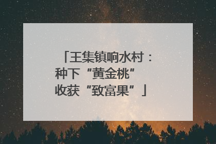 王集镇响水村：种下“黄金桃” 收获“致富果”