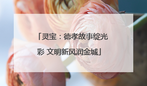 灵宝：德孝故事绽光彩 文明新风润金城