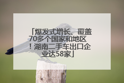 爆发式增长、覆盖70多个国家和地区！湖南二手车出口企业达58家