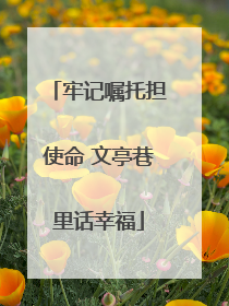 牢记嘱托担使命 文亭巷里话幸福