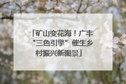 矿山变花海！广丰“三色引擎”催生乡村振兴新图景