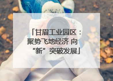 甘眉工业园区：聚势飞地经济 向“新”突破发展