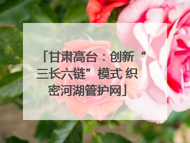 甘肃高台：创新“三长六链”模式 织密河湖管护网