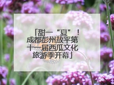 甜一“夏”！成都彭州敖平第十一届西瓜文化旅游季开幕
