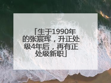 生于1990年的张宸珲，升正处级4年后，再有正处级新职
