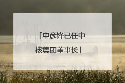 申彦锋已任中核集团董事长