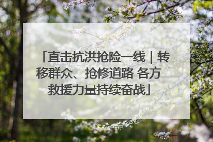 直击抗洪抢险一线｜转移群众、抢修道路 各方救援力量持续奋战
