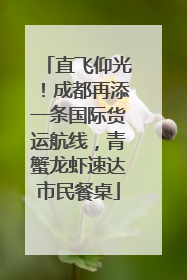 直飞仰光！成都再添一条国际货运航线，青蟹龙虾速达市民餐桌